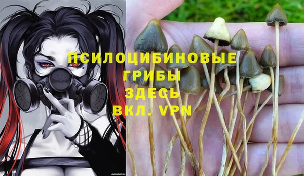 экстази Алексин