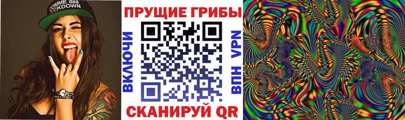 ОМГ ОМГ tor  где продают   Дрезна  Галлюциногенные грибы Psilocybe 
