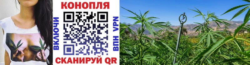 Бошки марихуана OG Kush Дрезна